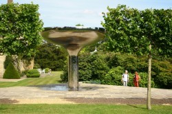 Cedra At Woolbeding House, Sussex